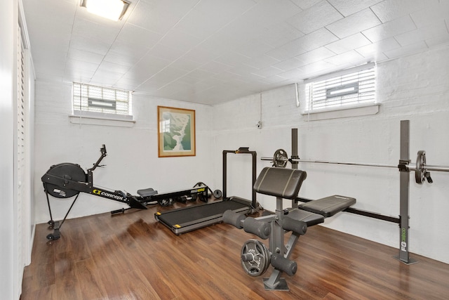 exercise room with hardwood / wood-style flooring and a healthy amount of sunlight