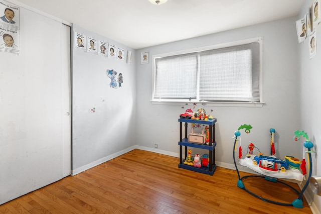 rec room featuring wood-type flooring