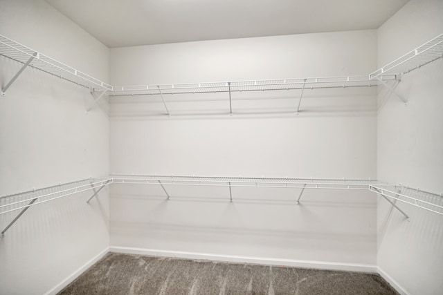 spacious closet with carpet floors