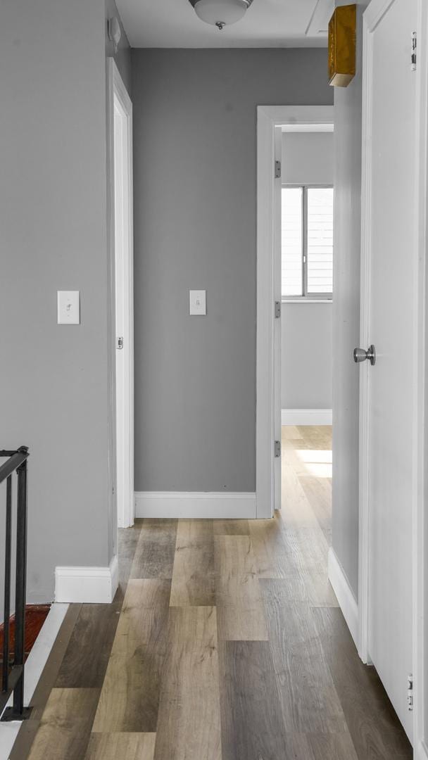 hall featuring dark wood-type flooring