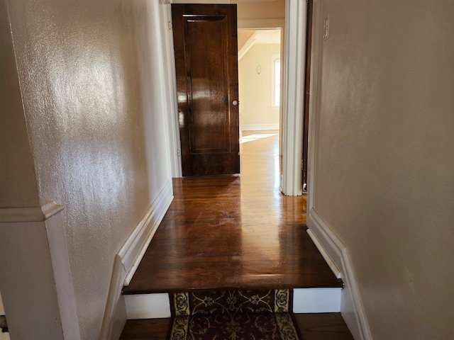 corridor featuring wood-type flooring