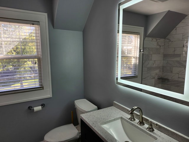 bathroom with vanity, a healthy amount of sunlight, and toilet