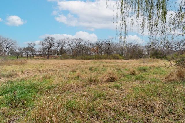 view of local wilderness with a rural view