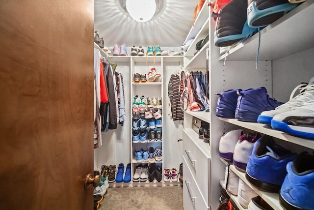 walk in closet with carpet