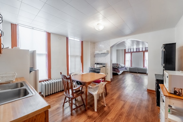 dining area with radiator, sink, and light wood-type flooring