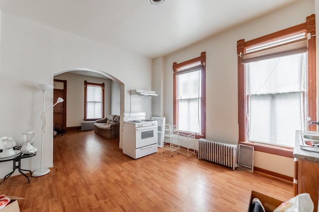 interior space with radiator heating unit and light wood-type flooring