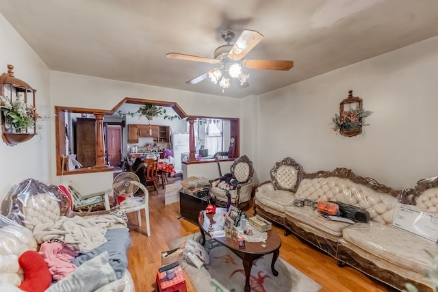 living room with ceiling fan and light hardwood / wood-style floors