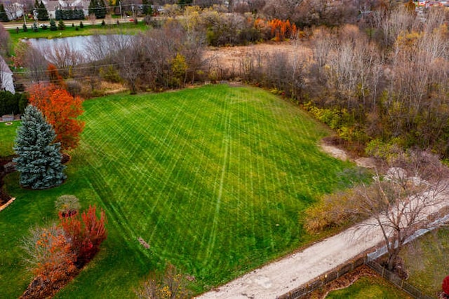32W396 Forest Dr, Aurora, IL 60502 - photo 10