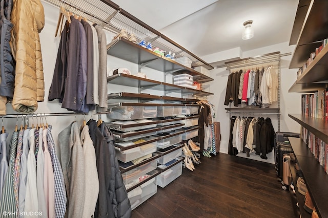 spacious closet featuring dark hardwood / wood-style flooring