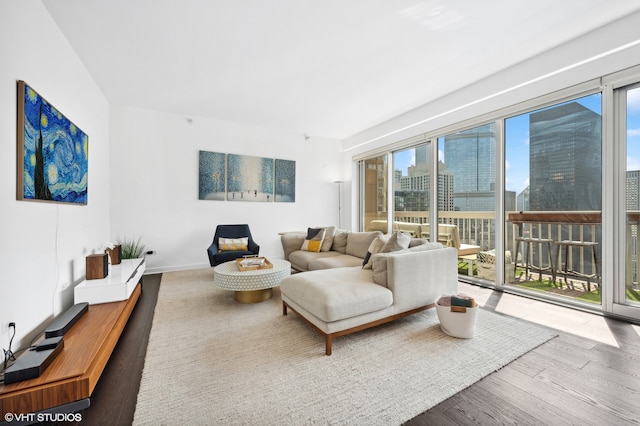 living room with hardwood / wood-style floors