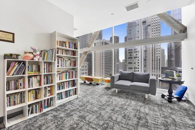 living area featuring carpet floors