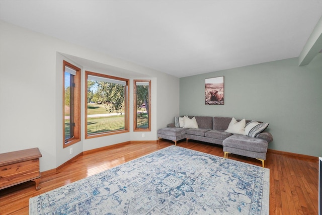 living room featuring wood-type flooring