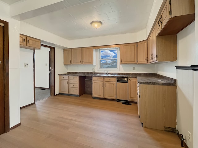 kitchen featuring light hardwood / wood-style floors and sink