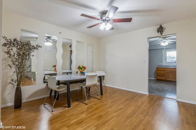 dining room with light hardwood / wood-style flooring