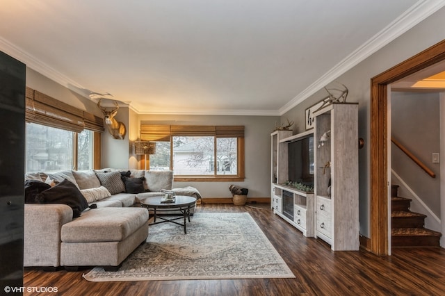 living room with crown molding, plenty of natural light, and dark wood-type flooring