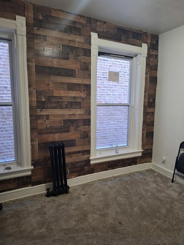 room details with carpet and wood walls