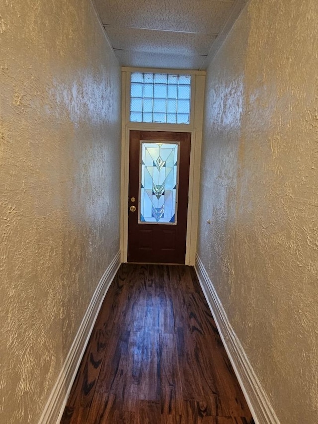 entryway featuring dark wood-type flooring