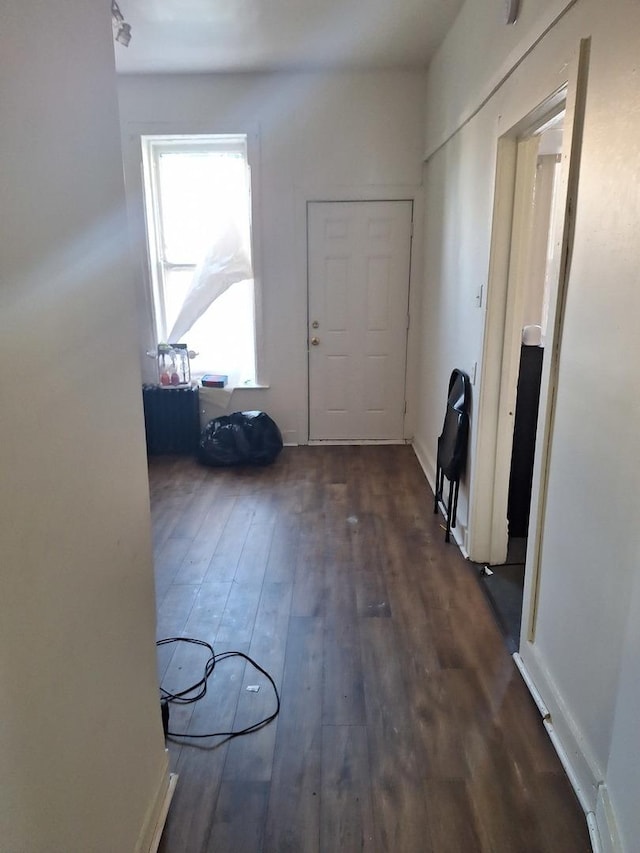 corridor with dark wood-type flooring