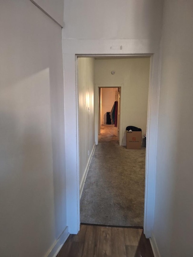 hallway with dark hardwood / wood-style flooring