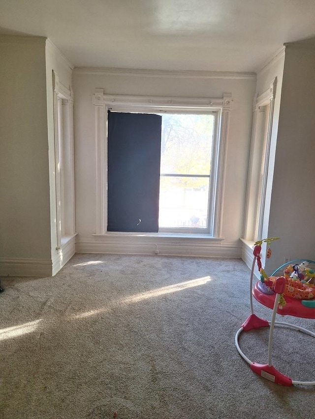 spare room featuring carpet flooring and crown molding