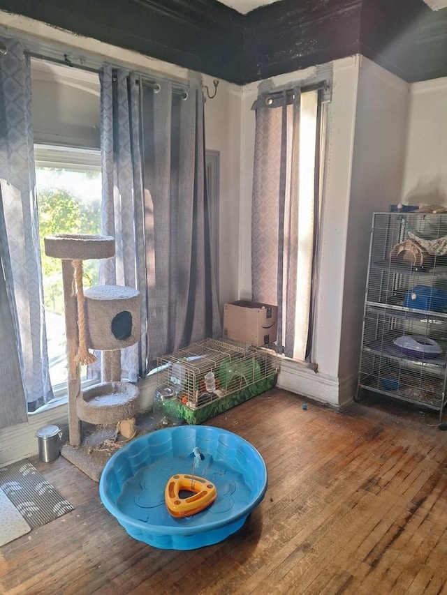 sitting room featuring hardwood / wood-style floors