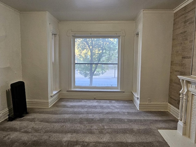 interior space with carpet