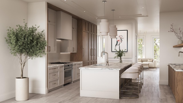 kitchen with stainless steel range, an island with sink, light hardwood / wood-style floors, and sink