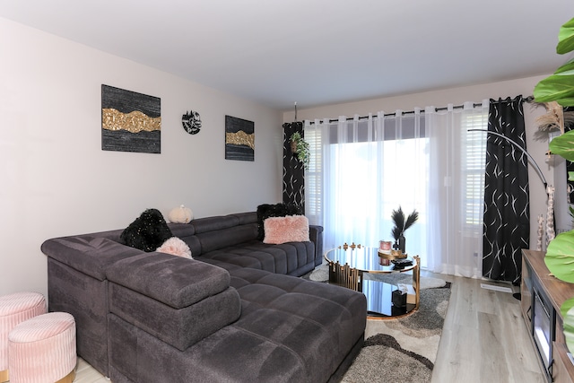 living room with light hardwood / wood-style flooring