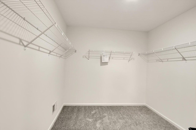 walk in closet featuring visible vents and carpet flooring