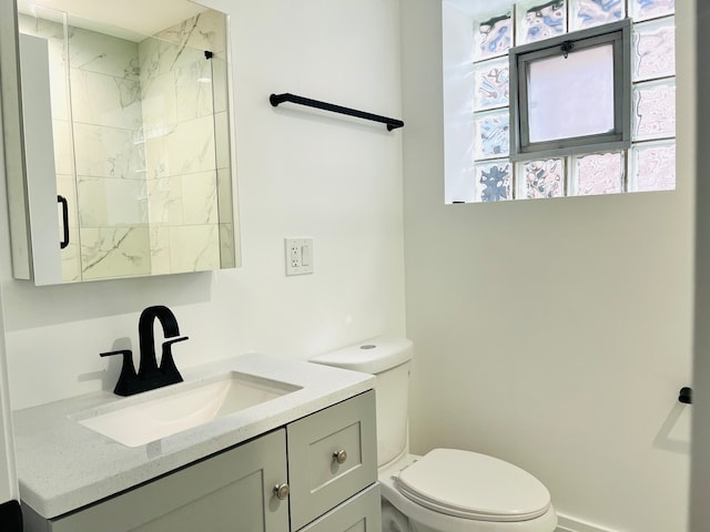 bathroom with vanity, toilet, and walk in shower