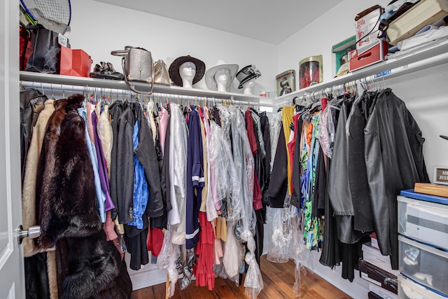 walk in closet with wood-type flooring