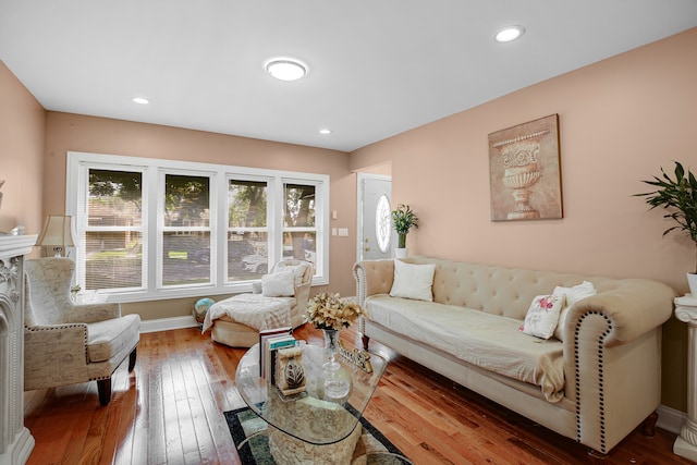 living room with wood-type flooring