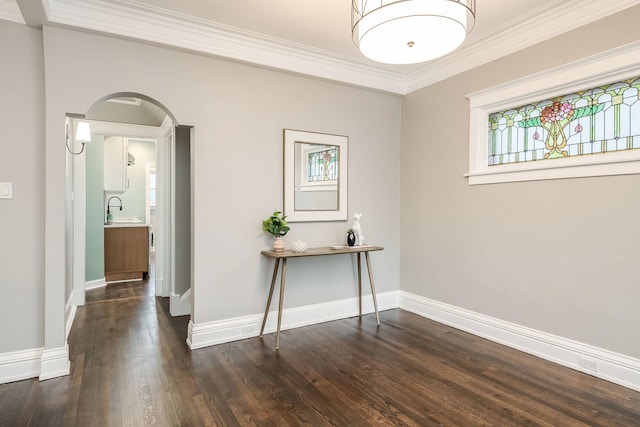 interior space featuring dark hardwood / wood-style flooring, ornamental molding, and sink