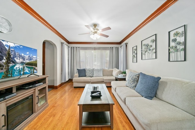 living room with ceiling fan, light wood-type flooring, and crown molding