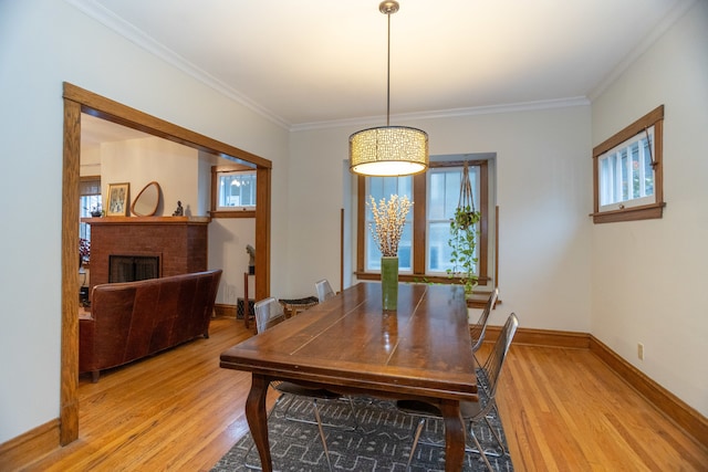 kitchen featuring pendant lighting, stainless steel appliances, and light hardwood / wood-style flooring