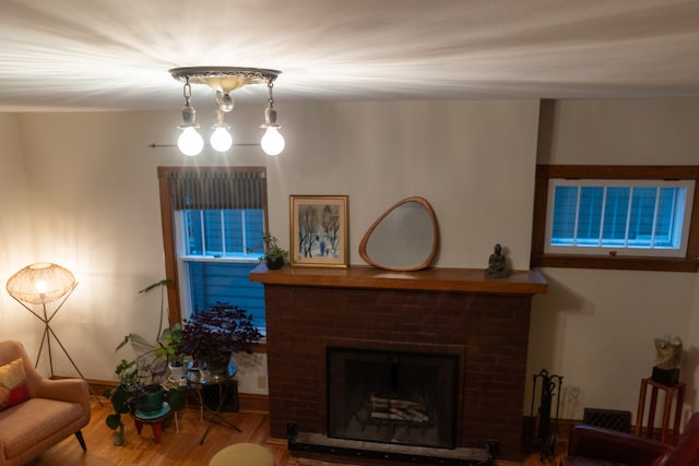 living room with a fireplace and wood-type flooring