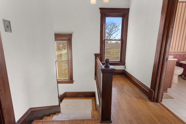 stairs with hardwood / wood-style floors