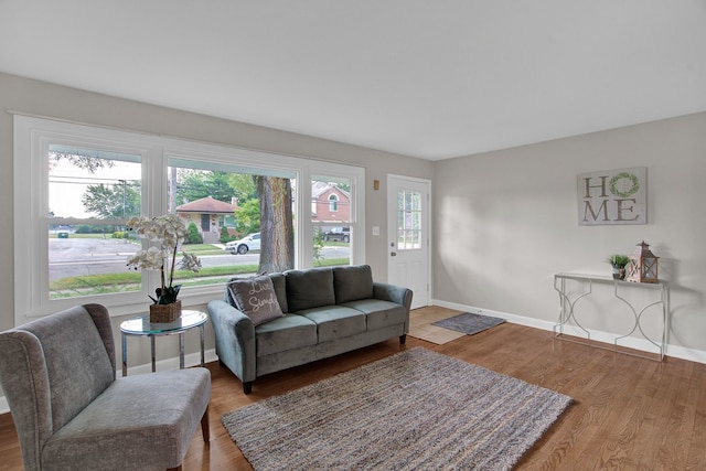 living room featuring wood-type flooring