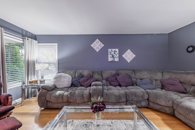 living room featuring wood-type flooring