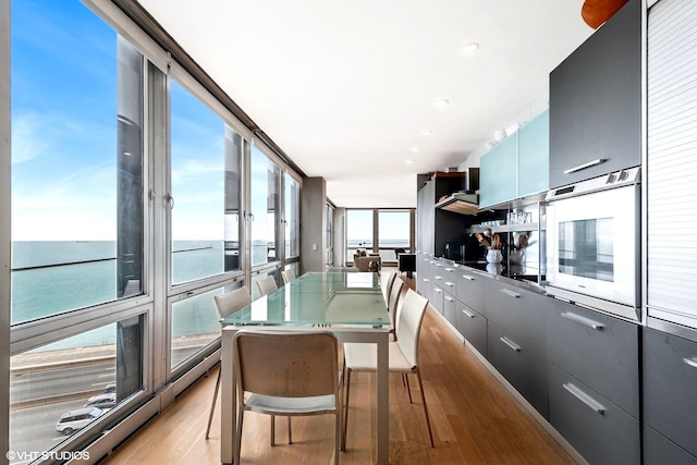 dining space featuring a water view and light wood-type flooring