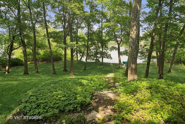 view of local wilderness