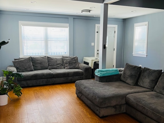 living room with a healthy amount of sunlight and light hardwood / wood-style flooring