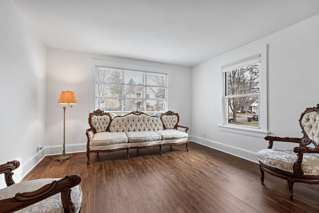 living area featuring dark hardwood / wood-style flooring