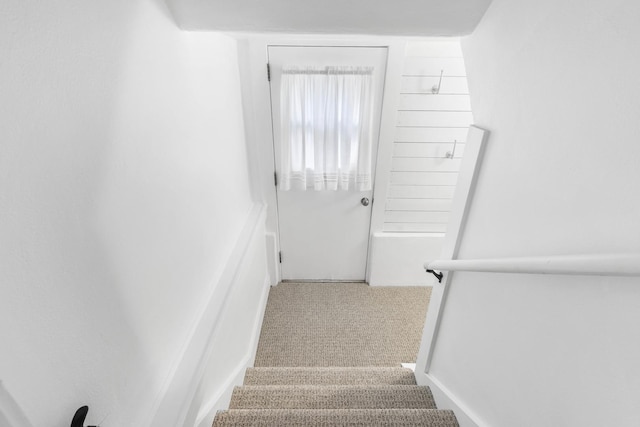 stairs featuring carpet floors