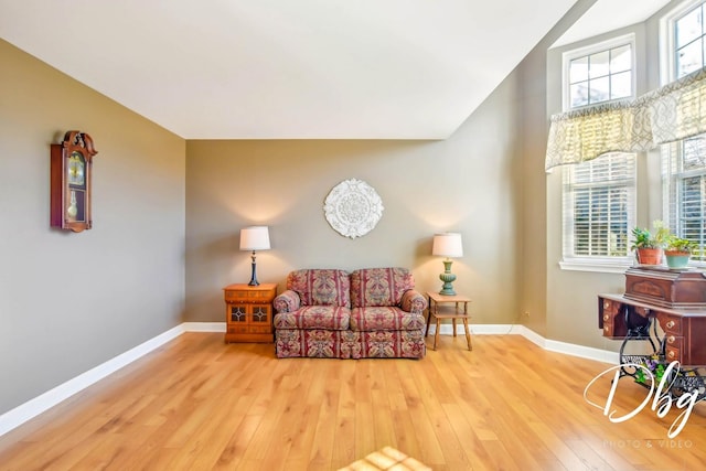 sitting room featuring hardwood / wood-style floors