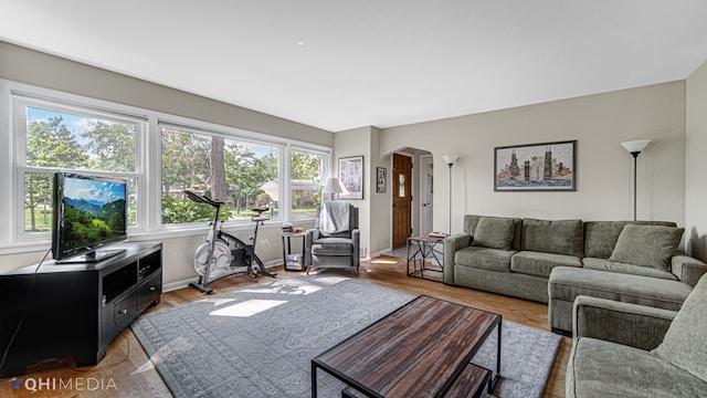 living room with hardwood / wood-style flooring