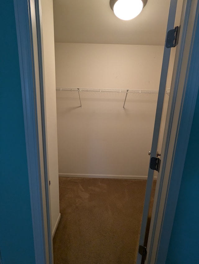 spacious closet featuring dark colored carpet