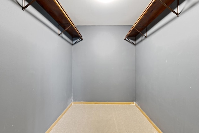 spacious closet with carpet floors