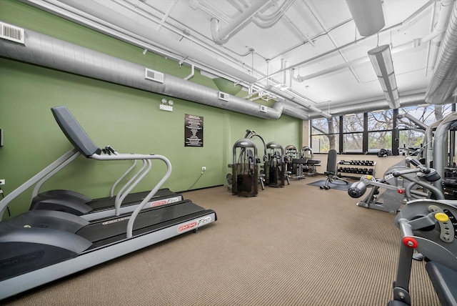 exercise room featuring carpet flooring