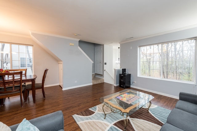 living room with a healthy amount of sunlight, ornamental molding, and dark wood-type flooring